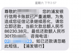 云龙讨债公司